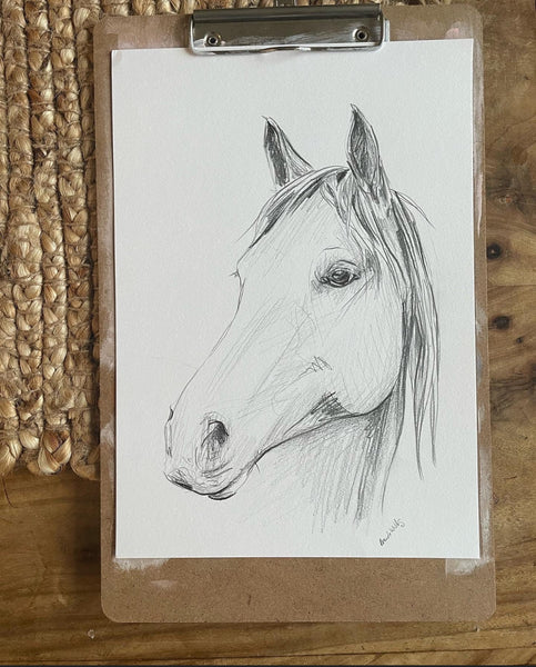 Original Black and White horse pencil sketch A4