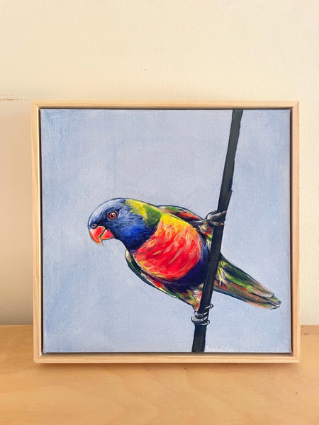 Australian Rainbow Lorikeet acrylic painting