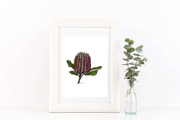 Australian Banksia watercolour & pen artwork A4