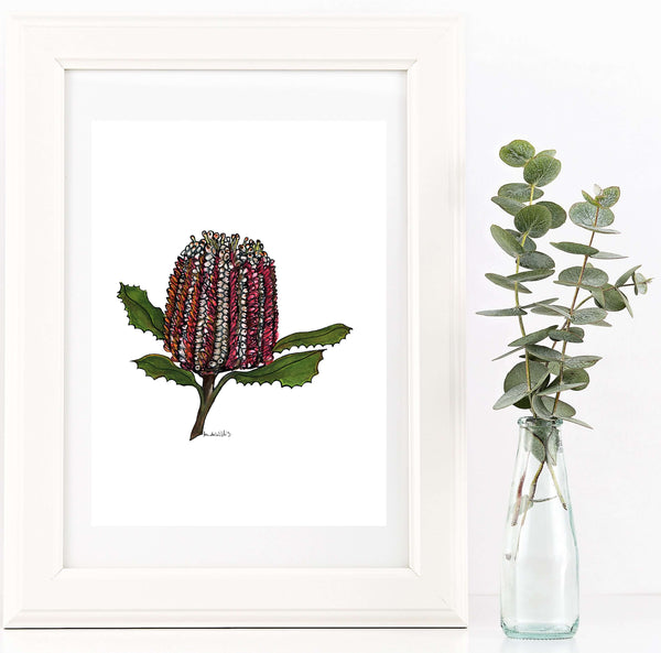 Australian Banksia watercolour & pen artwork A4
