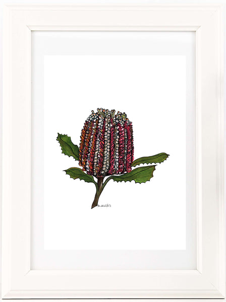 Australian Banksia watercolour & pen artwork A4