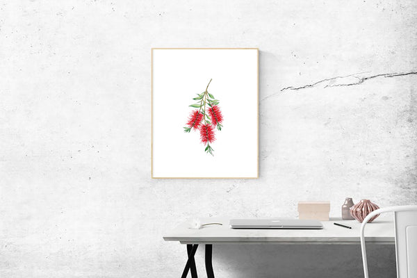 Australia red BottleBrush watercolour print