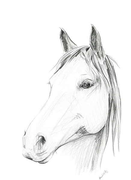 Original Black and White horse pencil sketch A4