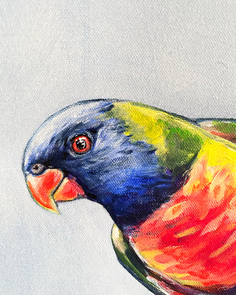 Australian Rainbow Lorikeet acrylic painting