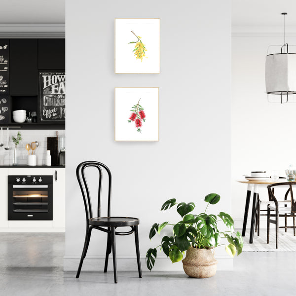 Australian native flower print set. Bottle brush, gum blossom and wattle art.