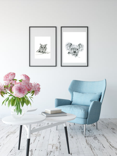 Black and white Australian Brushtail Possum drawing print