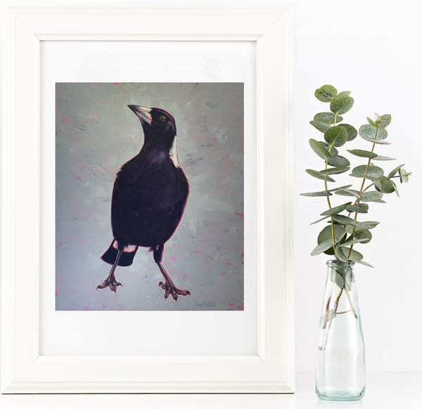 Australian Magpie 'Handsome' painting artwork print
