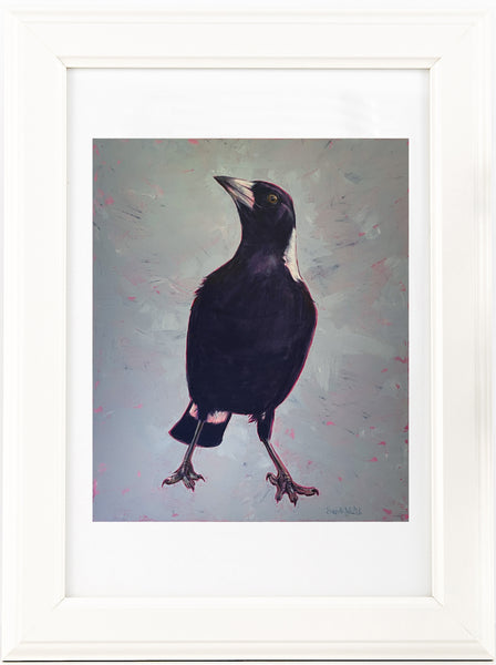 Australian Magpie 'Handsome' painting artwork print