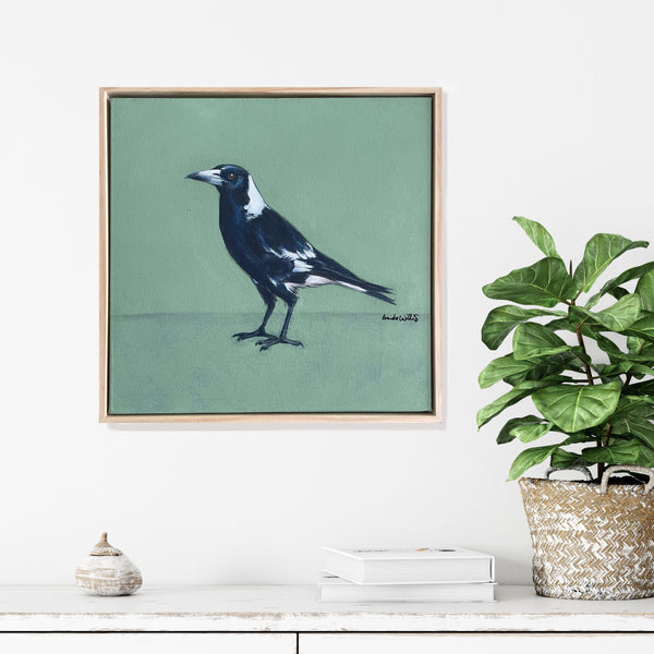 Australian Magpie acrylic painting