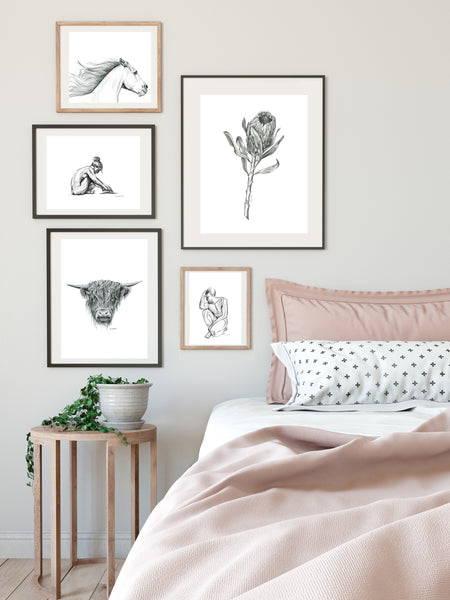 Graphite Protea drawing print