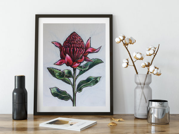 Australian Waratah 'Strength' painting print
