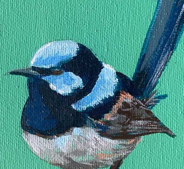 Original Australian Blue Wren mini acrylic painting #1