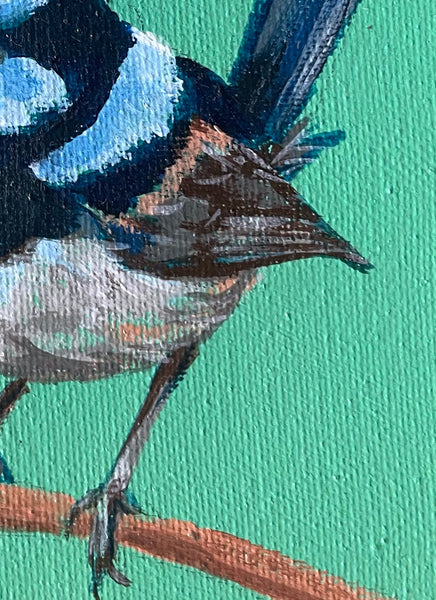 Original Australian Blue Wren mini acrylic painting #1