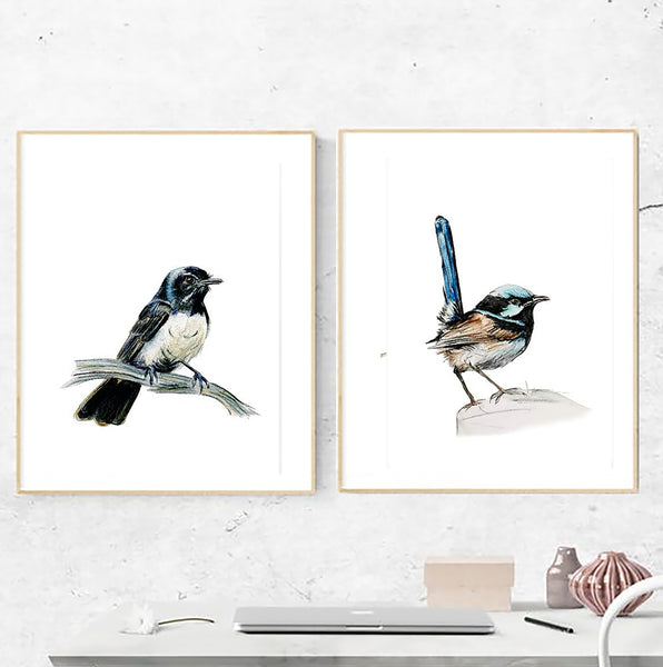 Australian Blue Wren watercolour art print.