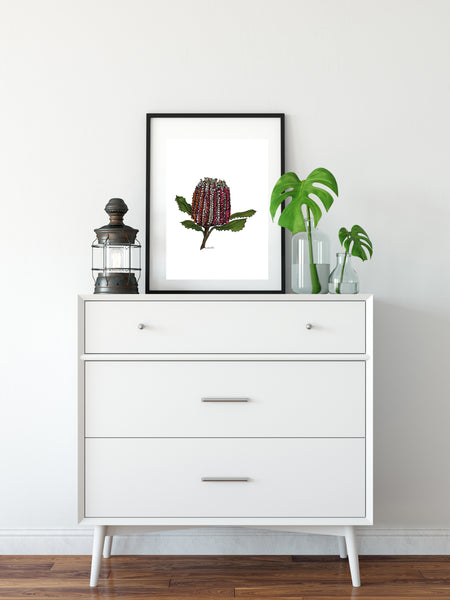 Banksia watercolour & pen artwork PDF downloadable