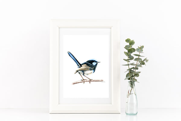 Australian watercolour Blue Wren drawing print v2.