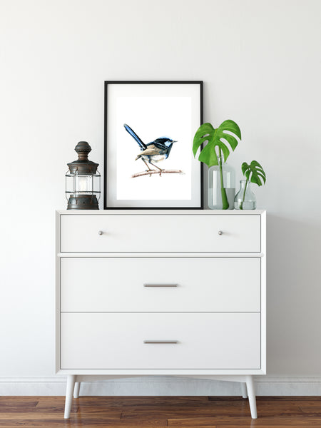 Australian watercolour Blue Wren drawing print v2.