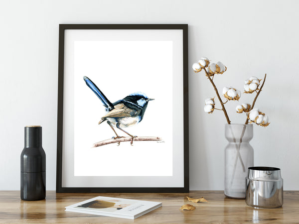 Australian watercolour Blue Wren drawing print v2.