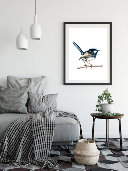 Australian watercolour Blue Wren drawing print v2.