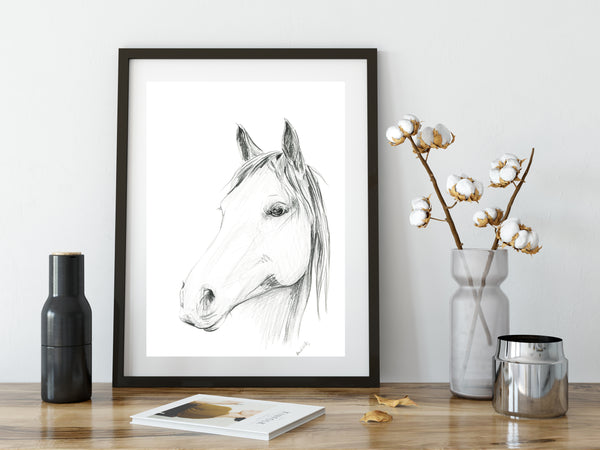 Hand drawn 'Chester' Horse portrait drawing print. Black and White pencil sketch horse lover art.