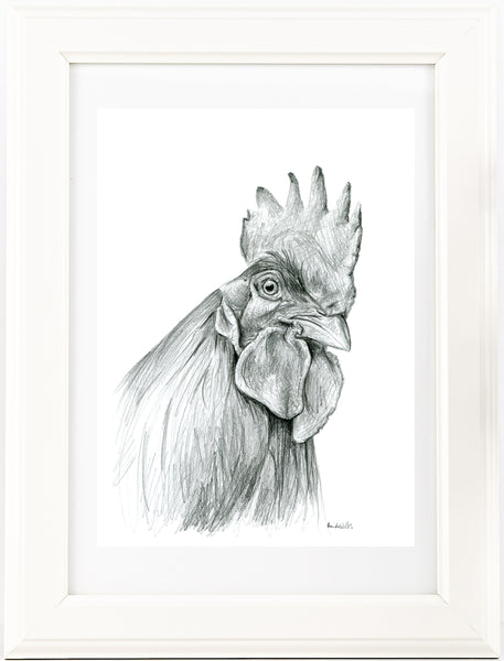 Graphite Rooster chicken drawing print