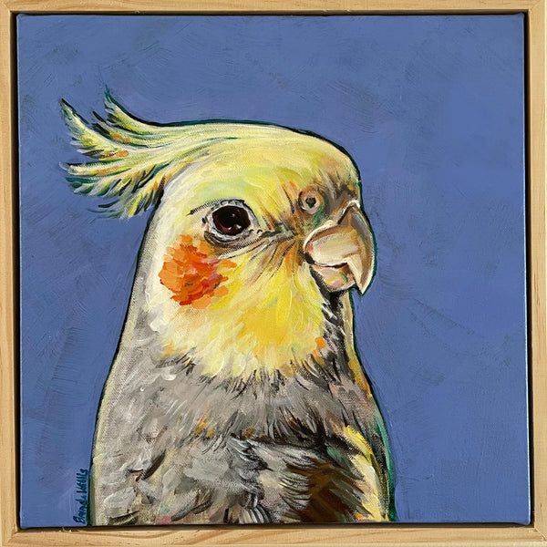 Australian Cockatiel acrylic painting