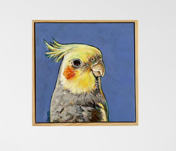 Australian Cockatiel acrylic painting