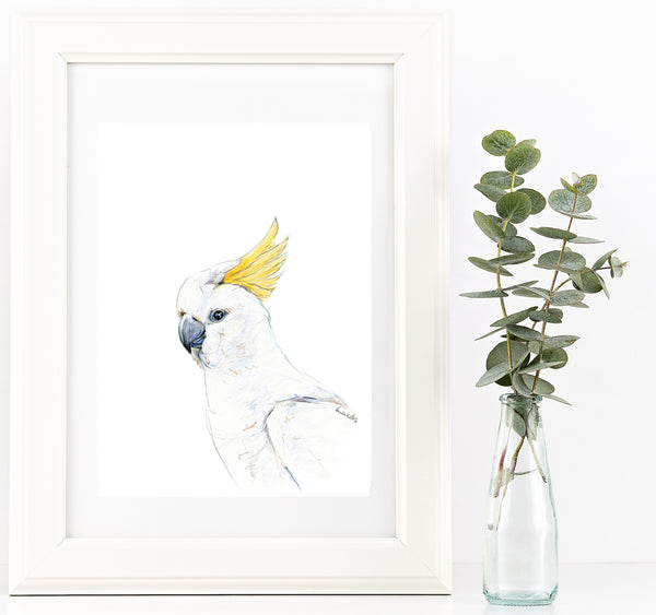 Australian yellow crested Cockatoo watercolour print.