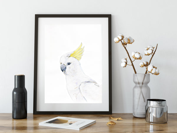 Australian yellow crested Cockatoo watercolour print.