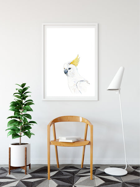 Australian yellow crested Cockatoo watercolour print.