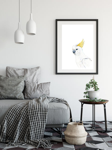 Australian yellow crested Cockatoo watercolour print.