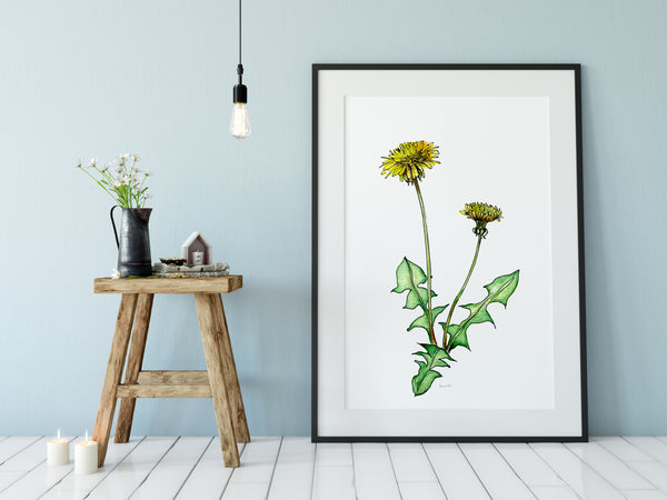 Dandelion pen and watercolour pencil artwork print.