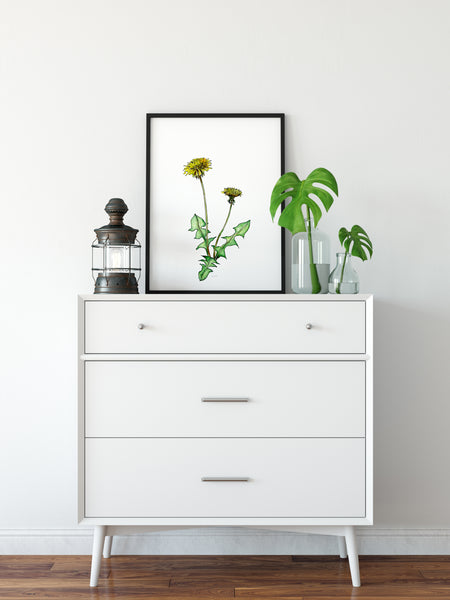 Dandelion pen and watercolour pencil artwork print.
