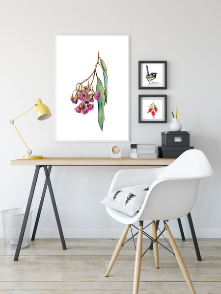 Australian pink Gum Blossoms watercolour print