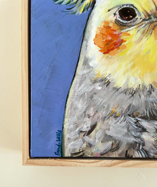 Australian Cockatiel acrylic painting