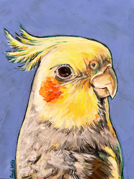 Australian Cockatiel acrylic painting