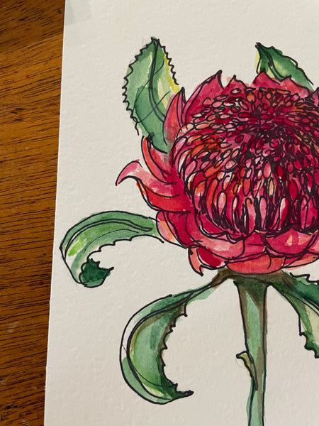 Original Australian Waratah painting artwork. A5