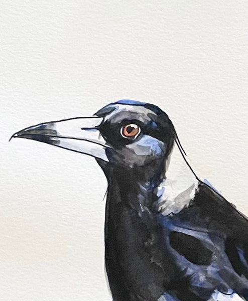 Original Watercolour Australian Magpie artwork.