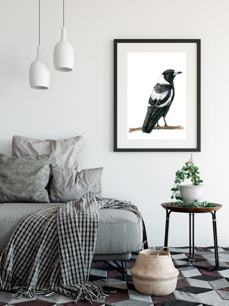 Watercolour Australian Magpie artwork print