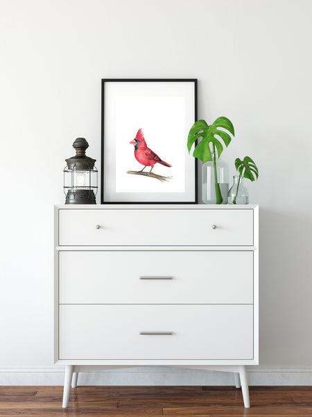 American native Red Cardinal watercolour art print.