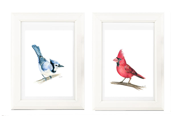 American native Red Cardinal watercolour art print.