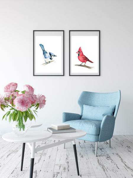 American native Red Cardinal watercolour art print.
