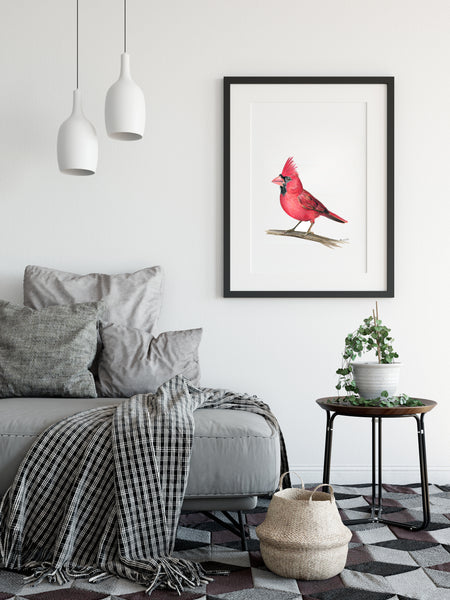 American native Red Cardinal watercolour art print.