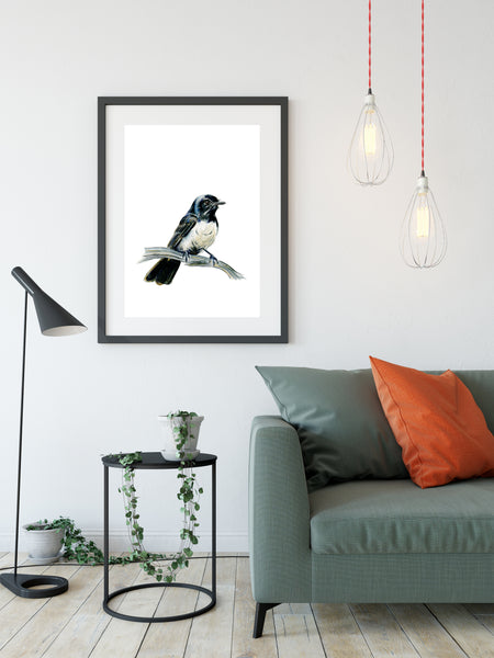 Australian Willy Wagtail watercolour art print. Aussie native bird.