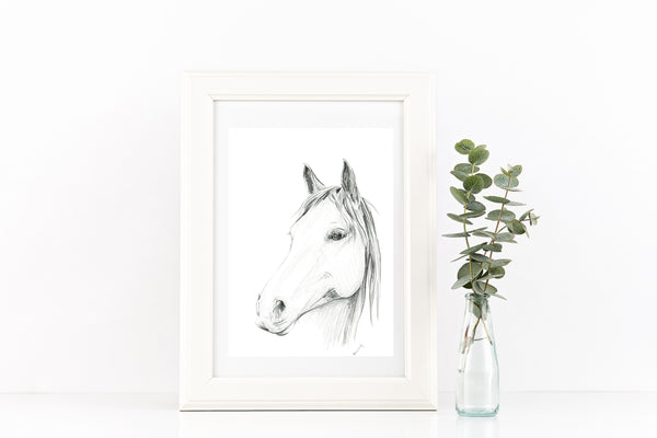 Hand drawn 'Chester' Horse portrait drawing print. Black and White pencil sketch horse lover art.