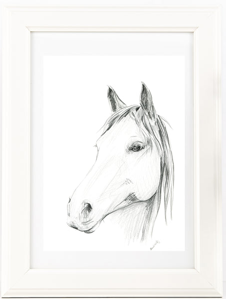 Hand drawn 'Chester' Horse portrait drawing print. Black and White pencil sketch horse lover art.