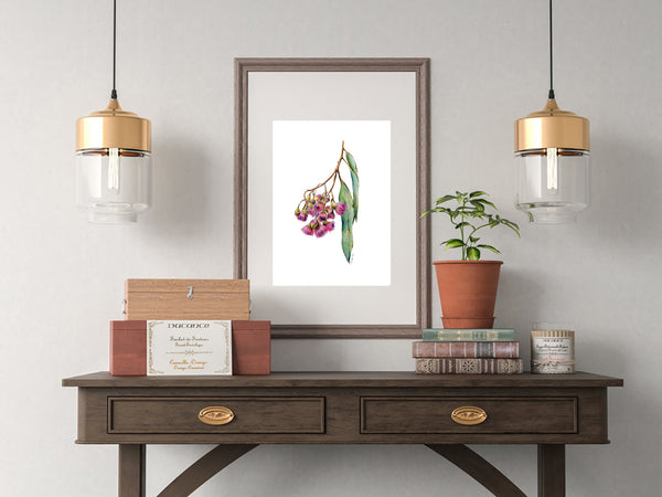 Australian pink Gum Blossoms watercolour print