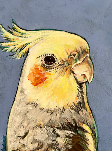 Australian Cockatiel acrylic painting