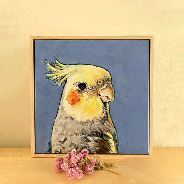 Australian Cockatiel acrylic painting