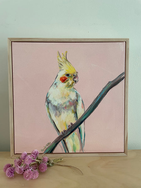 Australian Cockatiel 'Cora' acrylic painting